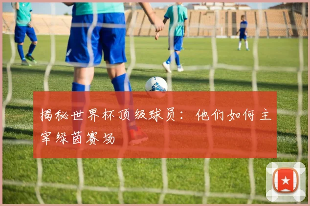 揭秘世界杯顶级球员：他们如何主宰绿茵赛场
