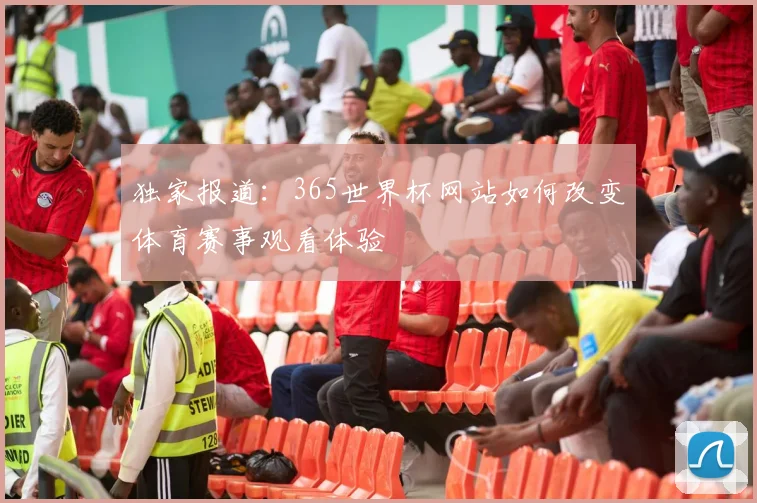 独家报道：365世界杯网站如何改变体育赛事观看体验