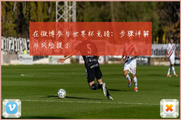 在微博参与世界杯竞猜：步骤详解与风险提示